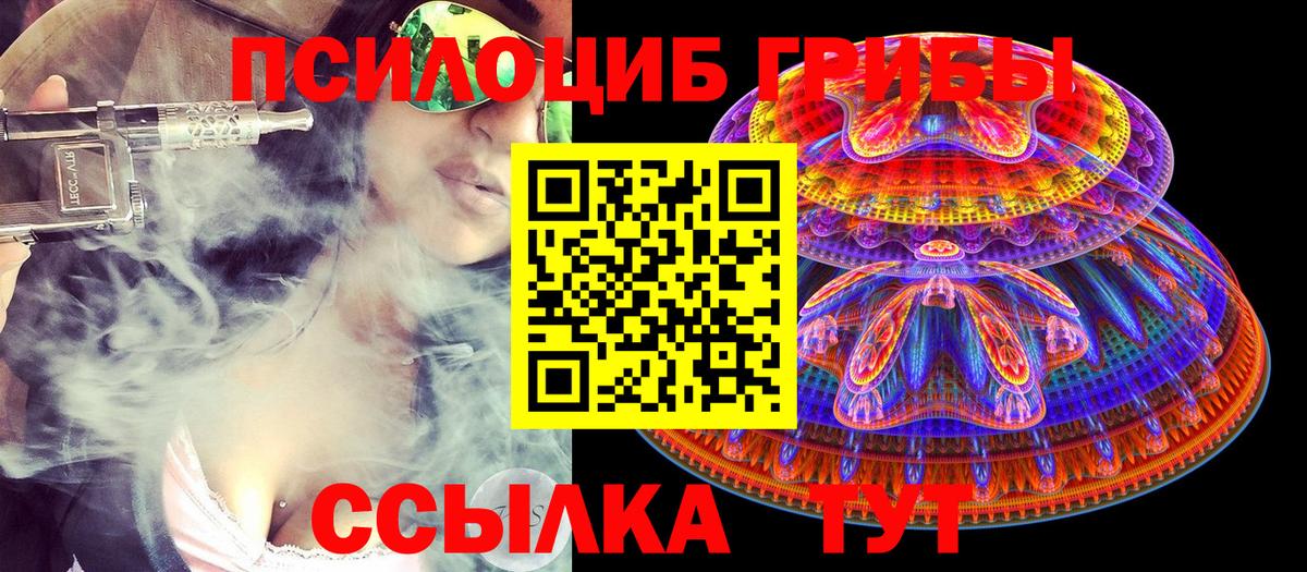 Галлюциногенные грибы Psilocybe  Галлюциногенные грибы Psilocybine cubensis  Клинцы  Вход с VPN 