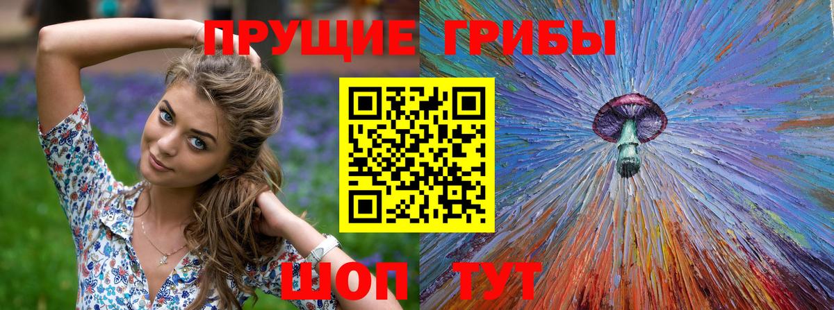 Псилоцибиновые грибы прущие грибы Клинцы